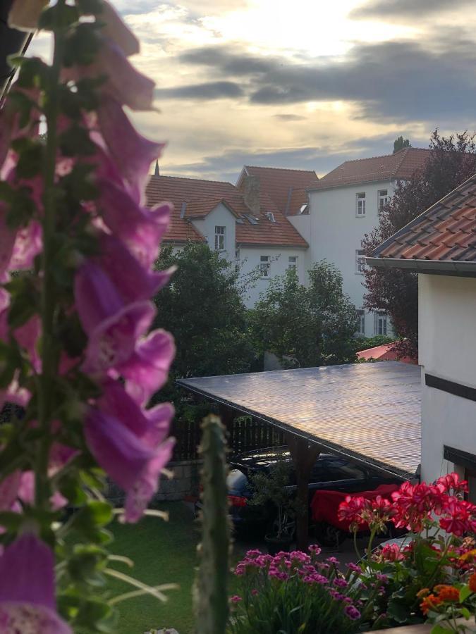 Am Mathildenbrunnen Klein Apartment Quedlinburg Bagian luar foto